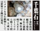 女記者2人が続・絶叫取材【零～zero】第8号