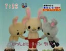 朝のうさぎが卑猥すぎる件