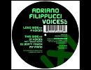 Voices / Adriano Filippucci