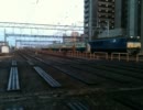 【鉄道】｢房総ものがたり号｣送り込み【金町駅】
