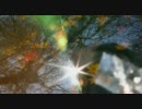 Christopher Willits - Light Into Branches