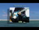 FairChild solo in Bay