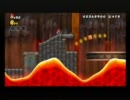 Newスーパーマリオブラザーズwii【鬼畜縛りプレイ】No.16