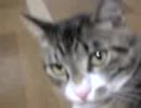 MOL003