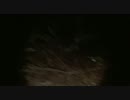 【心霊スポット】千葉県 ホテ○ 江戸城 HD撮影 その1