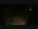 【心霊スポット】千葉県 ホテ○ 江戸城 HD撮影 その2