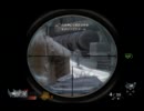 CoD:BO　ハッカープロで頑張ってみた　－見敵必殺－