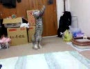 頑張りすぎです