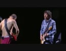 Red Hot Chili Peppers - 14. Californication