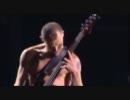 Red Hot Chili Peppers - 18. The Power Of Equality