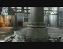 【CoD】コールオブデューティーブラックオプス TDM 蠍デュアル【BO】