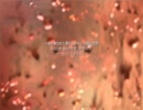 【ＣＯＤ：ＭＷ２】イタイ子が最前線でチュドーン∑q|ﾟДﾟ|p　5日目