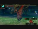 【MHP3】イビルジョー５～６分討伐【猫火事場 弓 ソロ】