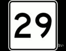 29