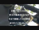 【弾薬箱】お嬢様とりむぺったんXXX【お知らせ】