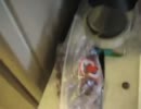 ブドウを電子レンジで加熱してプラズマ発光