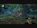 【MHP3】 村★5ジンオウガ 下位装備 弓ソロ 非火事場 03'17"26討伐 【0分針】