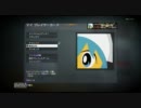 【鳥ポケ〇ンが実況】TDM13 MPLラピット【COD:BO】