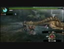 【MHP3】 リオレイア縛りTA 弓ソロ 非火事場 【0分針】