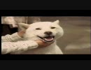 softbankのCM