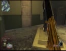 【鳥ポケ〇ンが実況】TDM15 FN FAL+鍵【COD:BO】