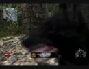 [CoD:BO]ローテンションで実況ＴＤＭ