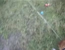 Ball and Dog