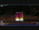 FF11 レベル70学者限界5　2008年7月7日撮影