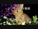 【ヘヴィパイク】お嬢様とりむぺったん109【採掘島Ｂ】