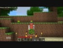 【ゆっくり実況】紅美鈴コスプレ男の冒険－番外編【MineCraft】