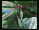 【実況】P3 ペルソナ３ part.16【初見プレイ】