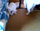 続き
