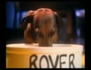 Tone Loc - Funky Cold Medina