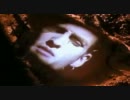 Alice In Chains - Them Bones