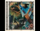 (歌詞和訳)Protest The Hero - Termites (Scurrilous)