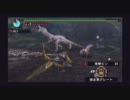 [MHP3]ドスジャギィ 弓 ソロ ０分針討伐