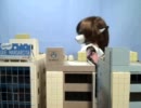テストUP動画