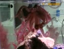 ブロリーの親父ぃが蛸を獲ってきたようです