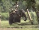海外インド　ネパール　タイ　　　ＮＯ．７