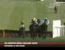 【競馬】 Champion Hurdle Challenge Trophy 2007