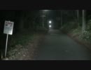 千葉県の【実況肝試し】　第26回　犬殺しの坂
