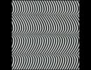Lil Wayne ft_ Merzbow - A Merzilli