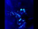 WATER ART Vol.1