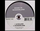 Acidland / Massi DL
