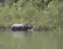 海外　インド　ネパール　タイ　　　ＮＯ．１２
