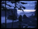Daisuke Tanabe - Singing Grass (Original Mix)