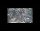 自衛隊ヘリから撮影した福島第１原発（ミラー）