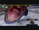 【MHP3】★7ハプルボッカ ヘビィボウガン非火事場5分針