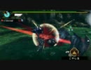 【MHP3】ナルガクルガ ハンマー 非猫火事場 5分針討伐