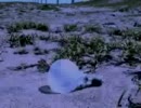 旅する人 feat.初音ミク